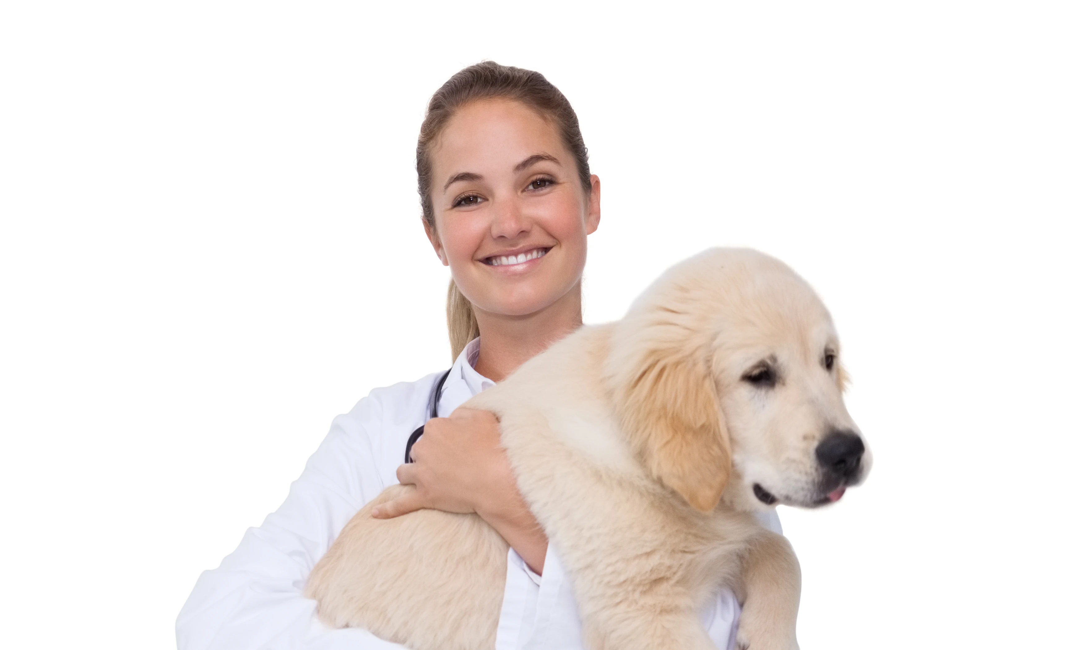 Vetura veterinarian